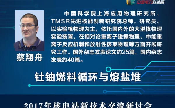 钍铀燃料循环与熔盐堆