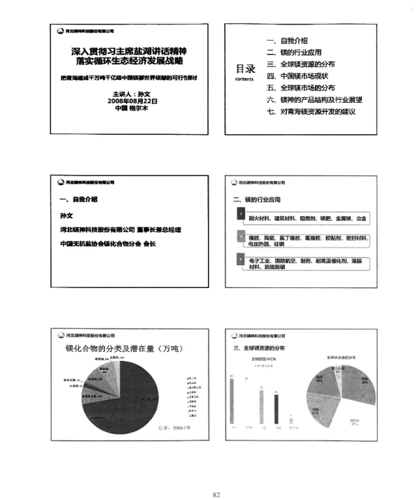 深入贯彻习主席盐湖讲话精神落实循环生态经济发展战略把青海建成千万吨千亿级中国镁都世界镁都的可行性探讨