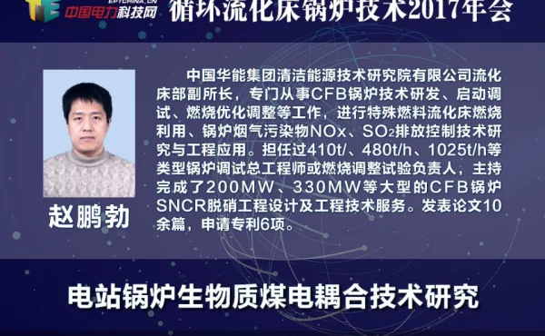 循环流化床锅炉生物质煤电耦合技术及污泥利用技术研究