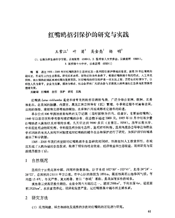 红嘴鸥招引保护的研究与实践
