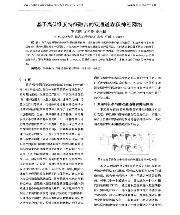 基于高低维度特征融合的双通道卷积神经网络