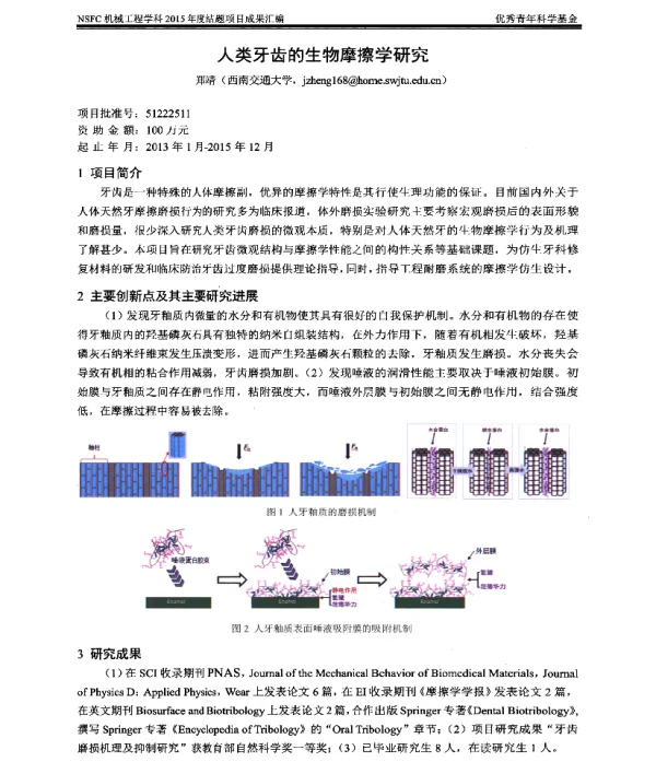 人类牙齿的生物摩擦学研究