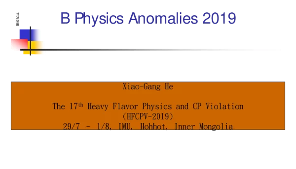 BPhysicsAnomalies2019