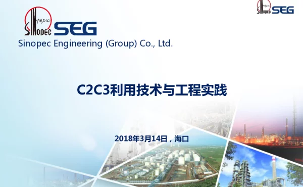 C2C3利用技术与工程实践