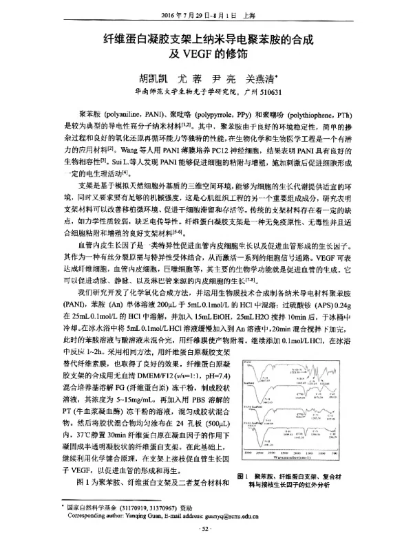纤维蛋白凝胶支架上纳米导电聚苯胺的合成及VEGF的修饰