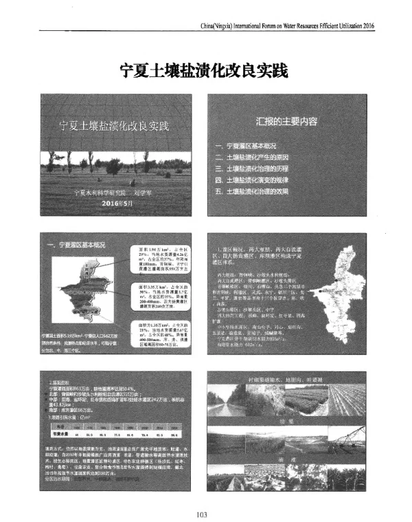 宁夏土壤盐渍化改良实践