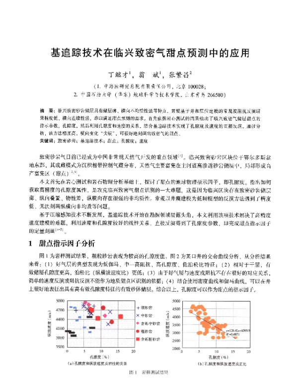 基追踪技术在临兴致密气甜点预测中的应用