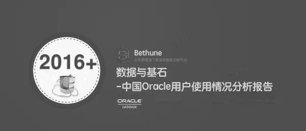 数据与基石-中国Oracle用户使用情况分析报告