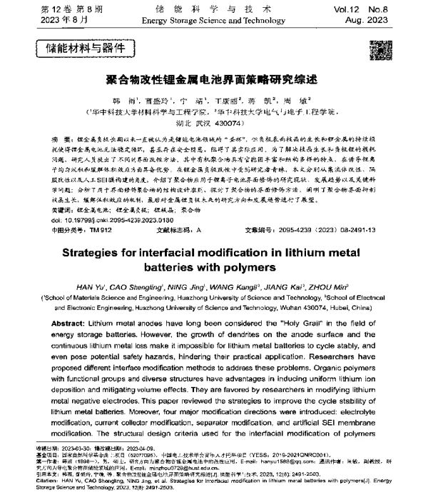 聚合物改性锂金属电池界面策略研究综述