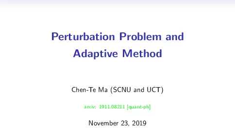 PerturbationProblemandAdaptiveMethod