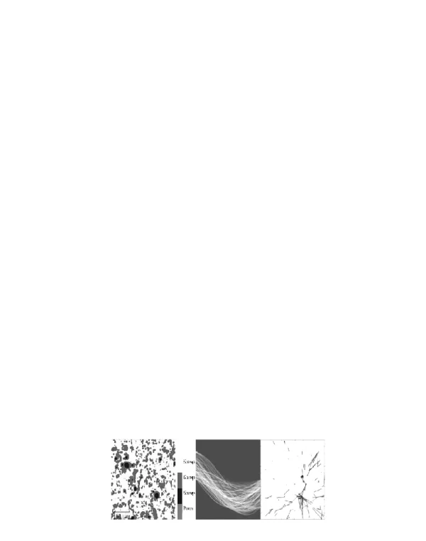 基于LM-DFN耦合模型研究龙马溪数字岩芯的等效弹性参数与各向异性特征