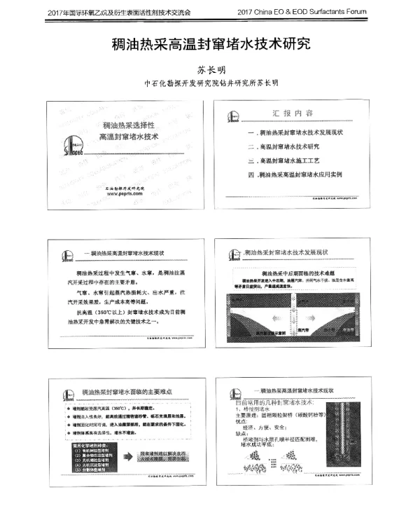 稠油热采高温封窜堵水技术研究