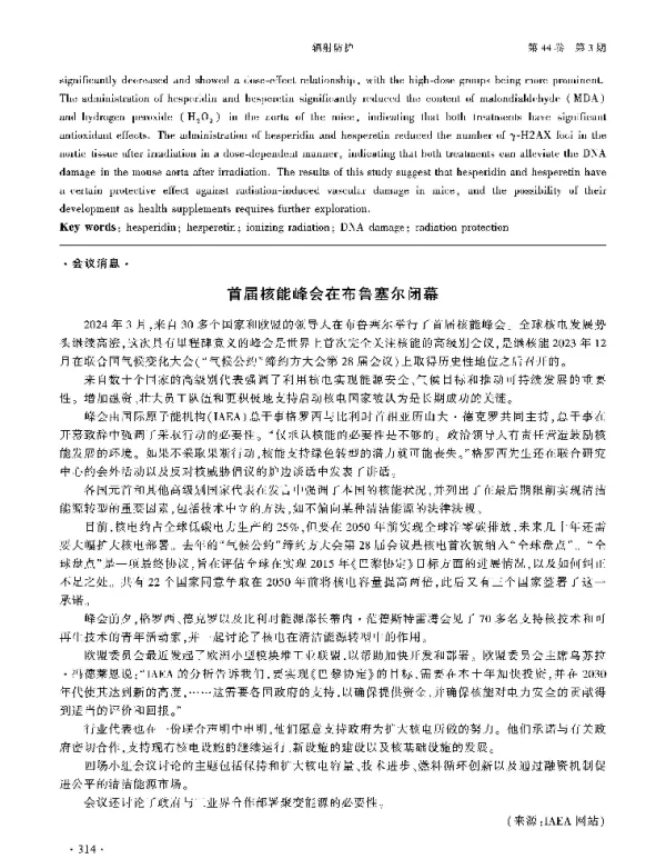 首届核能峰会在布鲁塞尔闭幕