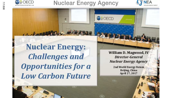 NuclearEnergyChallengesandOpportunitiesforaLowCarbonFuture