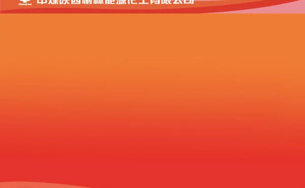 MTO副产C4综合高效利用