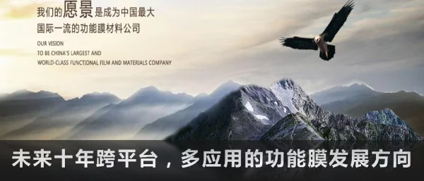 未来十年跨平台多应用的功能膜发展方向