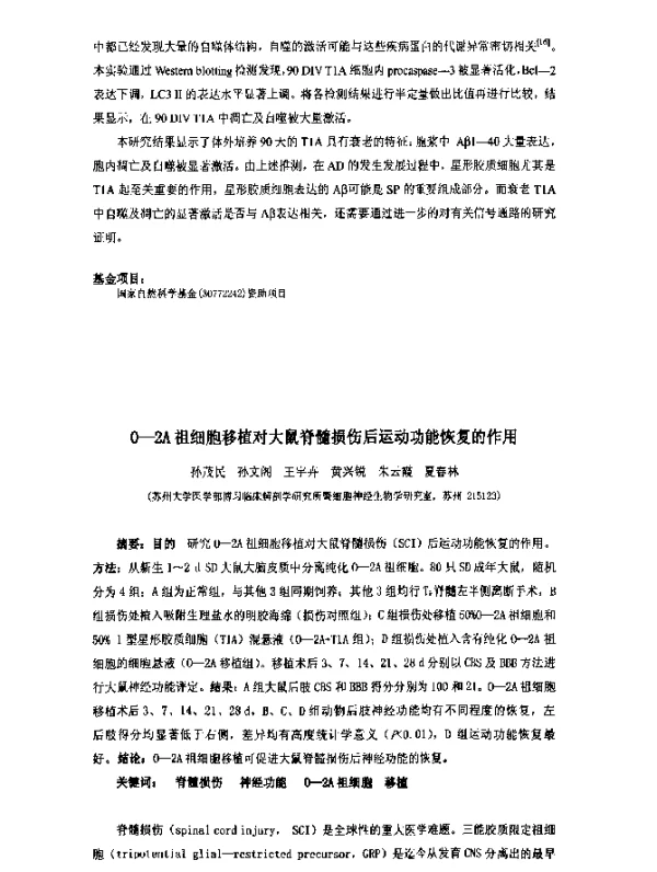 0-2A祖细胞移植对大鼠脊髓损伤后运动功能恢复的作用
