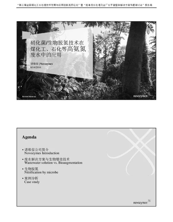 硝化菌生物脱氮技术在煤化工、石化等高氨氮废水中的应用