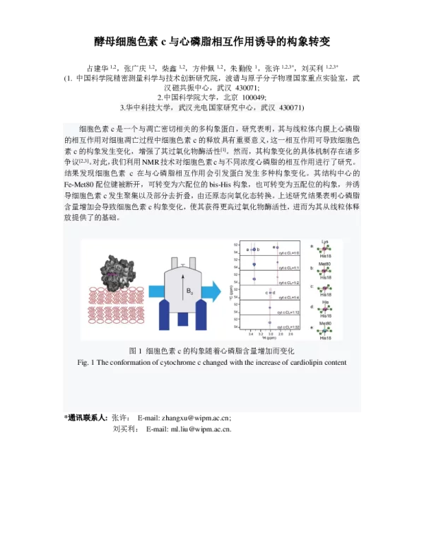 酵母细胞色素c与心磷脂相互作用诱导的构象转变