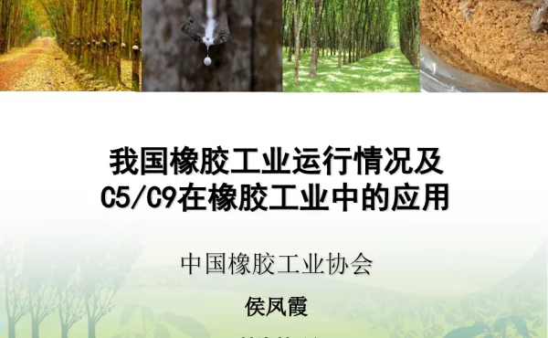 我国橡胶工业运行情况及C5C9在橡胶工业中的应用