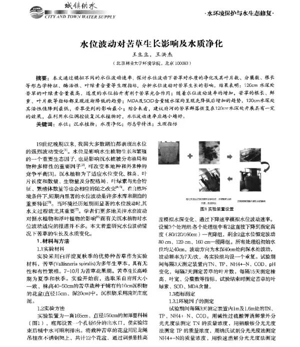 水位波动对苦草生长影响及水质净化