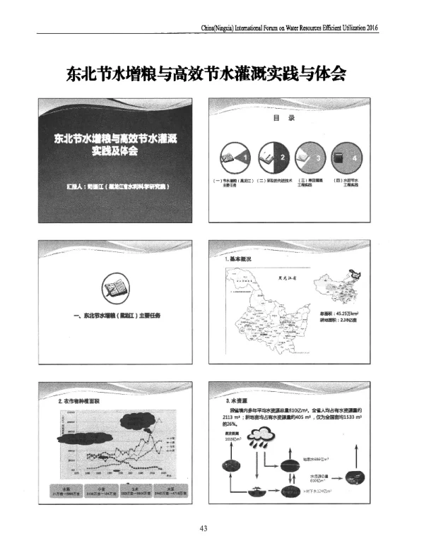 东北节水增粮与高效节水灌溉实践与体会