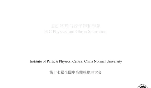 EIC物理与胶子饱和现象