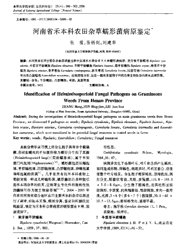 河南省禾本科农田杂草蠕形菌病原鉴定