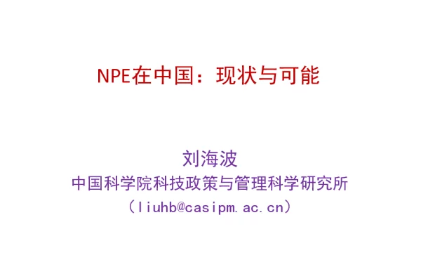 NPE在中国现状与可能