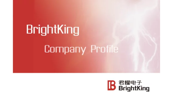 BrightKingCompanyProfile