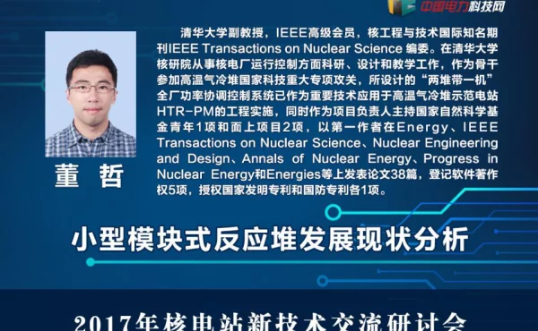 小型模块式反应堆机组的控制方法--发展现状与趋势分析