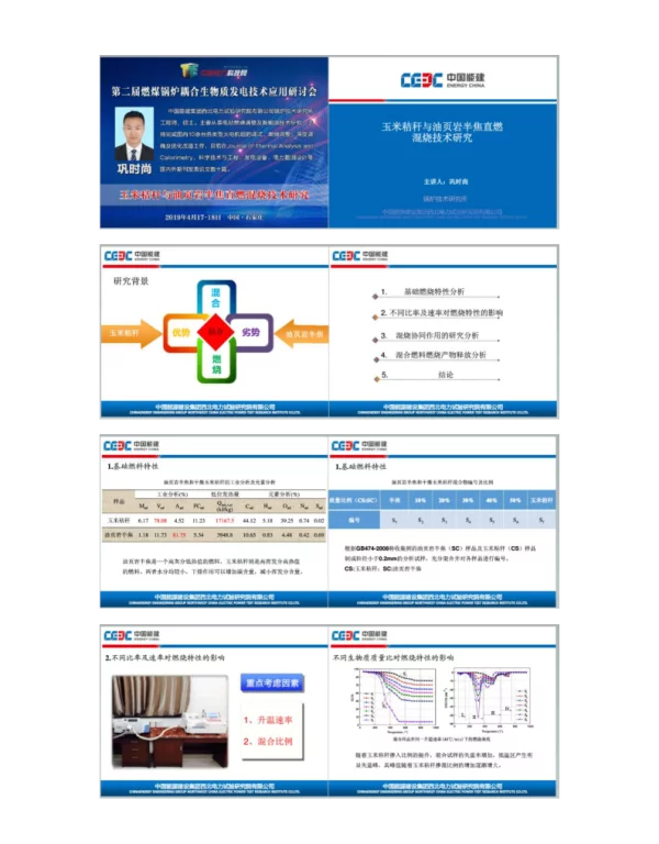 玉米秸秆与油页岩半焦直燃混烧技术研究