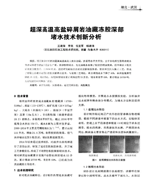 超深高温高盐碎屑岩油藏冻胶深部堵水技术创新分析