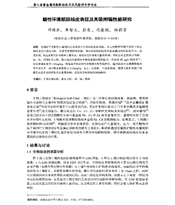 酸性环境稻田结皮表征及其吸附镉性能研究