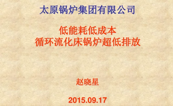 低能耗低成本循环流化床锅炉超低排放