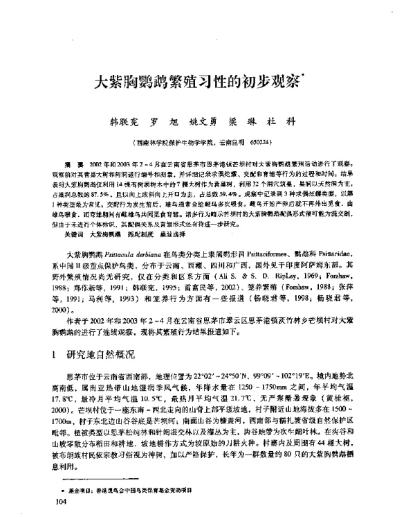 大紫胸鹦鹉繁殖习性的初步观察