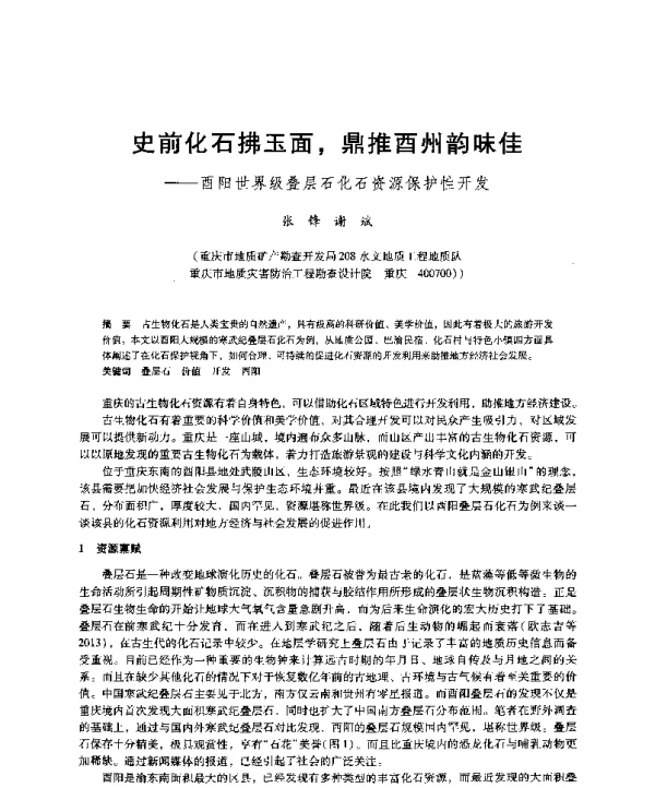 史前化石拂玉面鼎推酉州韵味佳--酉阳世界级叠层石化石资源保护性开发