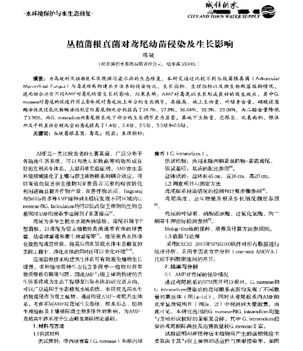 丛植菌根真菌对鸢尾幼苗侵染及生长影响