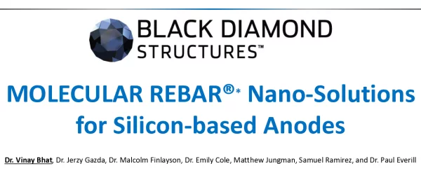 MOLECULARREBAR(R)Nano-SolutionsforSilicon-basedAnodes