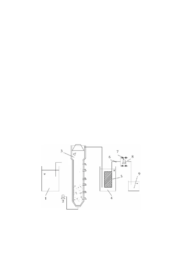 新型厌氧膜生物反应器处理生活污水