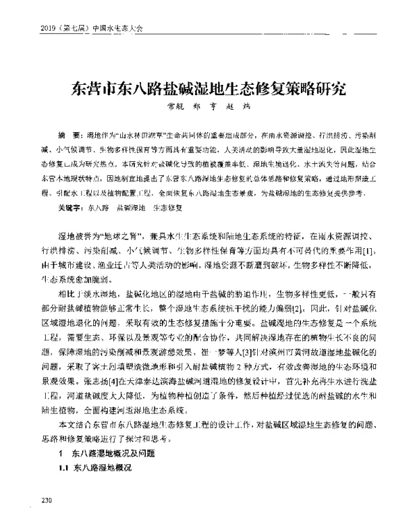 东营市东八路盐碱湿地生态修复策略研究