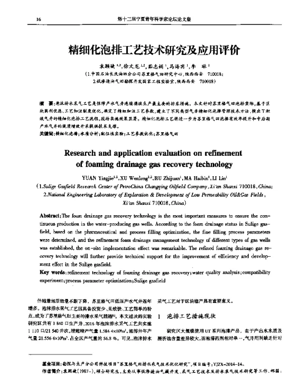 精细化泡排工艺技术研究及应用评价