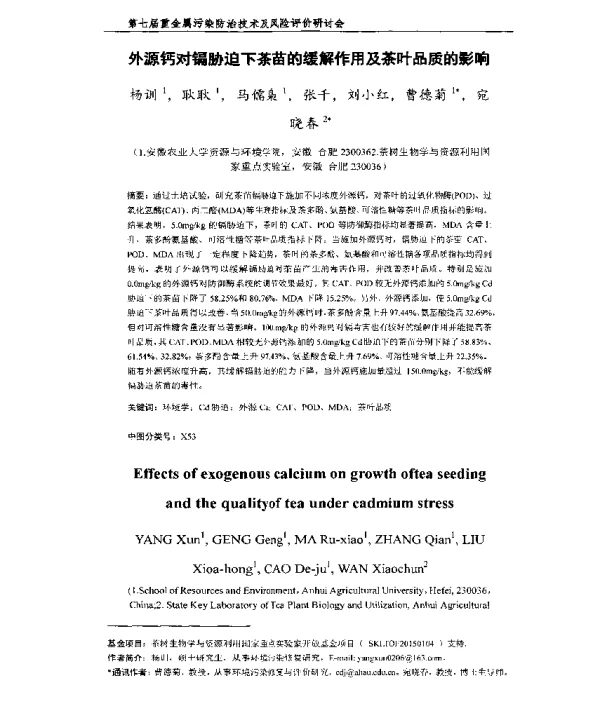 外源钙对镉胁迫下茶苗的缓解作用及茶叶品质的影响