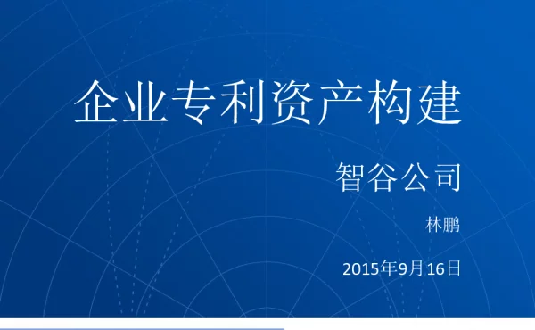 企业专利资产构建