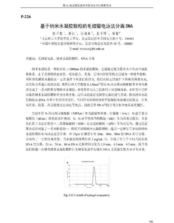 基于纳米水凝胶颗粒的毛细管电泳法分离DNA