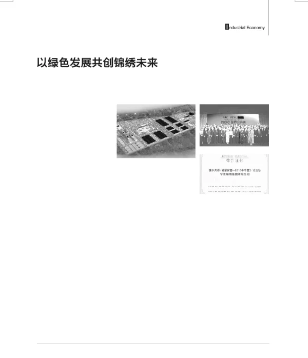 以绿色发展共创锦绣未来—记宁夏锦绣集团有限公司