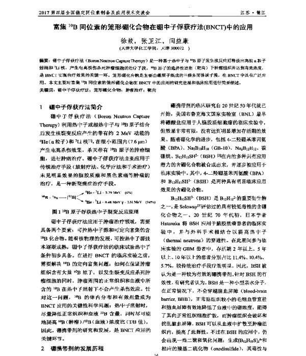 富集10B同位素的笼形硼化合物在硼中子俘获疗法(BNCT)中的应用