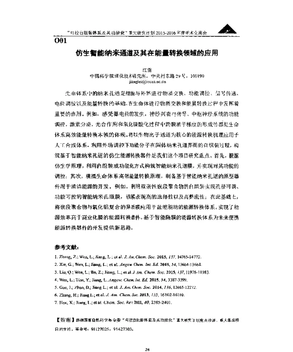 仿生智能纳米通道及其在能量转换领域的应用
