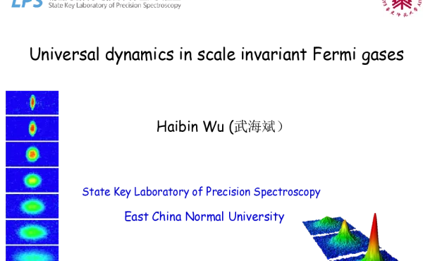 UniversaldynamicsinscaleinvariantFermigases