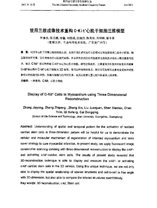 使用三维成像技术重构C-Kit+心肌干细胞三维模型